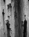 01 human shaped stains 74F,75W-10.jpg