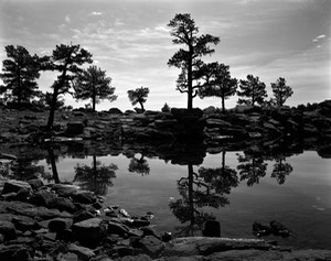 01 lake with tree reflections 76SP,S-4.jpg