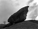 09 boulder and tree 75SP,S-4.jpg